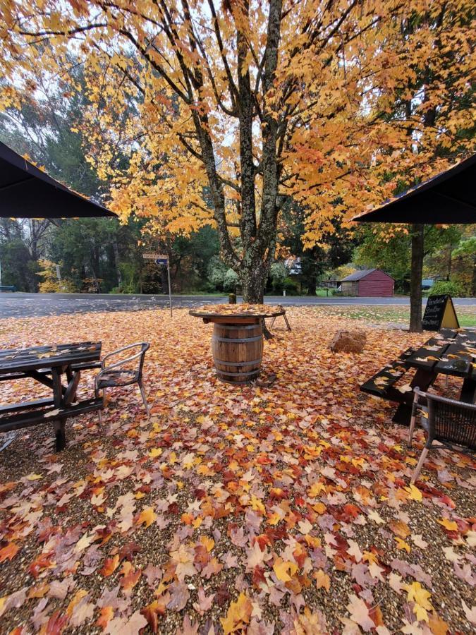 Harrietville Hotel Motel ภายนอก รูปภาพ